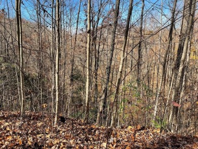Lake Acreage For Sale in Hayesville, North Carolina