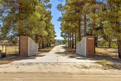 49585 Flightline Way - photo 3