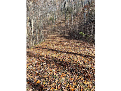 Lot located in Mountain Harbour, a beautiful gated golf - photo 3