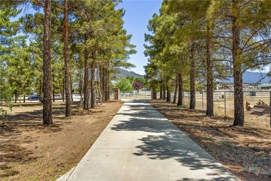 49585 Flightline Way - photo 4