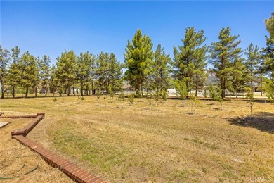 49585 Flightline Way - photo 8