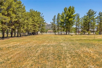 49585 Flightline Way - photo 10
