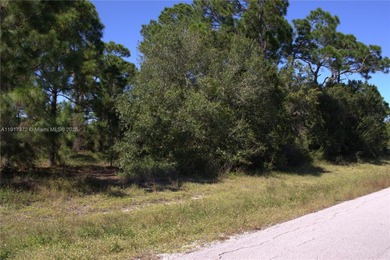 Lehigh Acres Area Lot For Sale in Other City - In The State Of Florida Florida