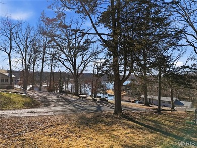 Discover a rare opportunity to own the last buildable lake-view - photo 2