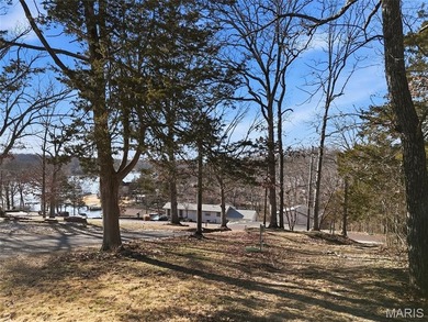 Discover a rare opportunity to own the last buildable lake-view - photo 3