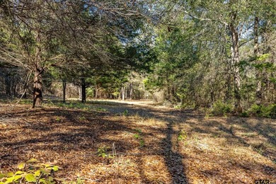Prime 68.36-acre tract strategically positioned along I-20 with - photo 8
