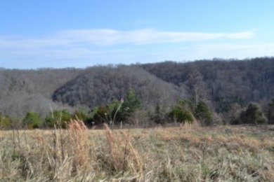 1.80 AC CLOSE TO CENTER HILL LAKE IN DEKALB CO, TN - photo 20
