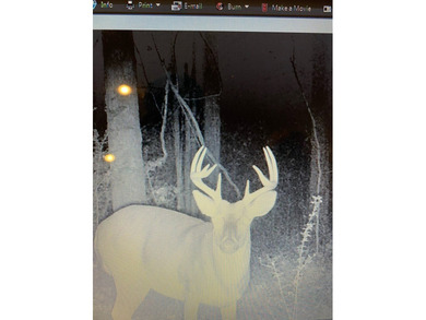 Looking for a hunting property you can shape into your own - photo 11