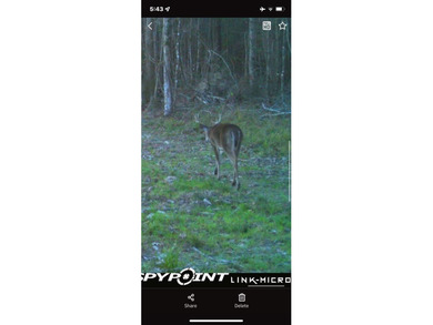 Looking for a hunting property you can shape into your own - photo 12