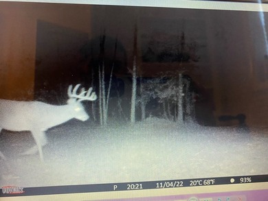 Looking for a hunting property you can shape into your own - photo 13