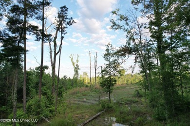 Looking for a hunting property you can shape into your own - photo 14