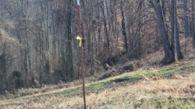 1.80 AC CLOSE TO CENTER HILL LAKE IN DEKALB CO, TN - photo 11