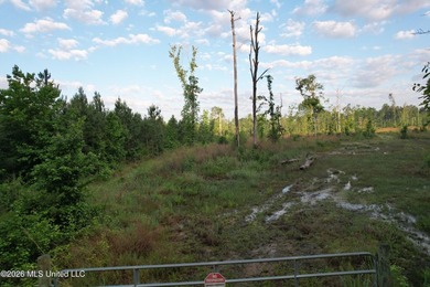 Looking for a hunting property you can shape into your own - photo 15