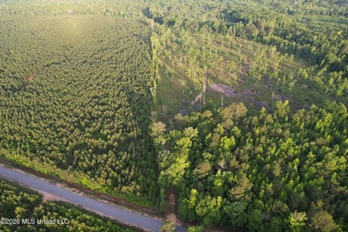 Looking for a hunting property you can shape into your own - photo 16