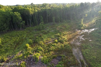 Looking for a hunting property you can shape into your own - photo 17
