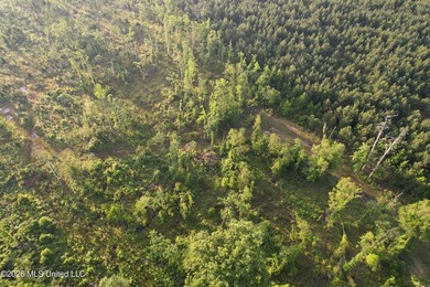 Looking for a hunting property you can shape into your own - photo 18