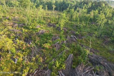 Looking for a hunting property you can shape into your own - photo 19