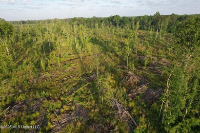 Looking for a hunting property you can shape into your own - photo 20