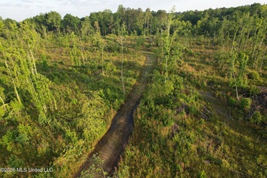 Looking for a hunting property you can shape into your own - photo 21