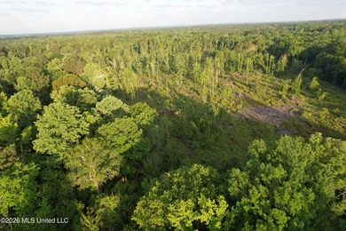 Looking for a hunting property you can shape into your own - photo 22