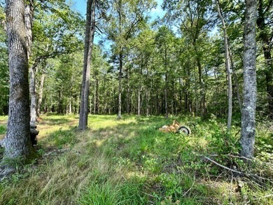 Looking for a hunting property you can shape into your own - photo 23