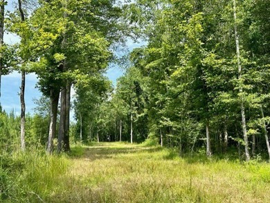 Looking for a hunting property you can shape into your own - photo 25