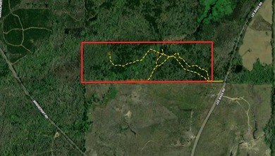 Looking for a hunting property you can shape into your own - photo 28