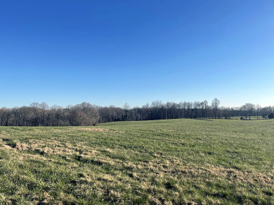3/4 Acre Level Pond View Building Lot - photo 2