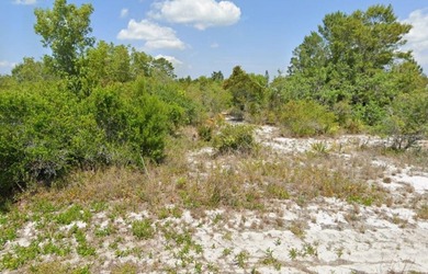 Lake June in Winter Lot For Sale in Lake Placid Florida