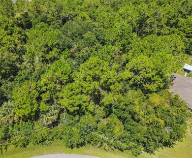 BUILD YOUR FLORIDA DREAM HOME HERE ON THIS DUPLEX ZONED LOT IN - photo 4