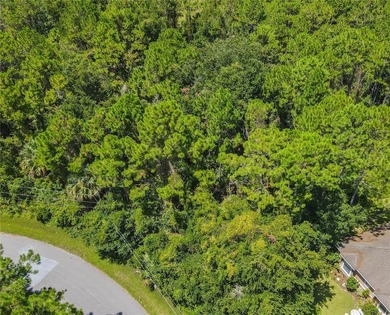 BUILD YOUR FLORIDA DREAM HOME HERE ON THIS DUPLEX ZONED LOT IN - photo 5