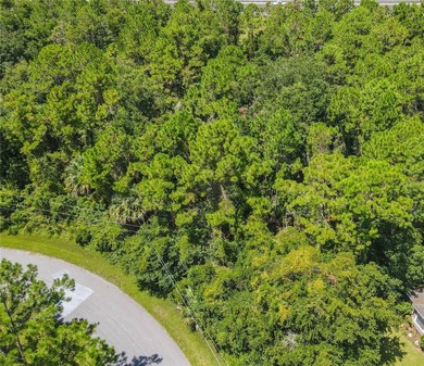BUILD YOUR FLORIDA DREAM HOME HERE ON THIS DUPLEX ZONED LOT IN - photo 6
