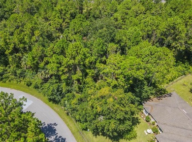 BUILD YOUR FLORIDA DREAM HOME HERE ON THIS DUPLEX ZONED LOT IN - photo 7