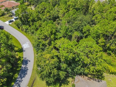 BUILD YOUR FLORIDA DREAM HOME HERE ON THIS DUPLEX ZONED LOT IN - photo 8