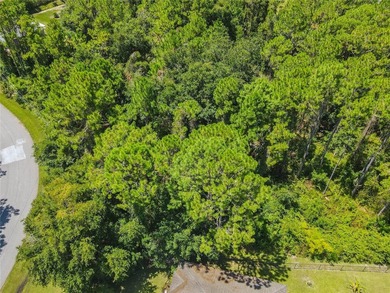 BUILD YOUR FLORIDA DREAM HOME HERE ON THIS DUPLEX ZONED LOT IN - photo 9