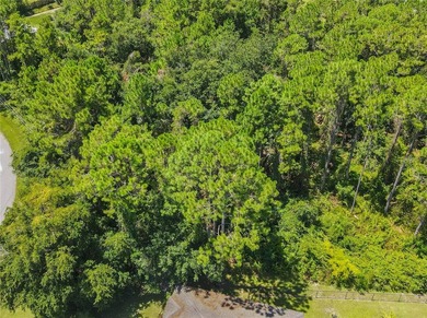 BUILD YOUR FLORIDA DREAM HOME HERE ON THIS DUPLEX ZONED LOT IN - photo 10