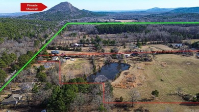 19 acre tract just minutes from Highway 10!! Beautiful property - photo 2