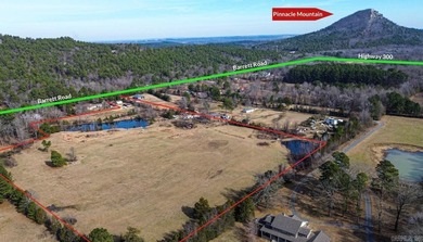19 acre tract just minutes from Highway 10!! Beautiful property - photo 4