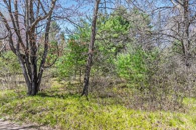 A rare chance to own the BEST of both worlds in the Northwoods! - photo 7