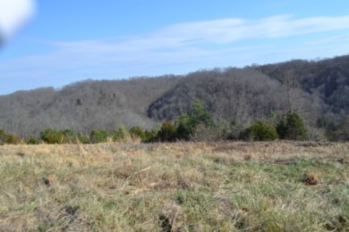 1.80 AC CLOSE TO CENTER HILL LAKE IN DEKALB CO, TN - photo 16