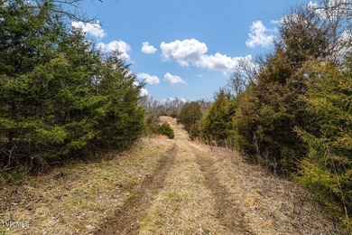 Tucked away in the heart of Afton, TN in Greene County, this 71 - photo 22