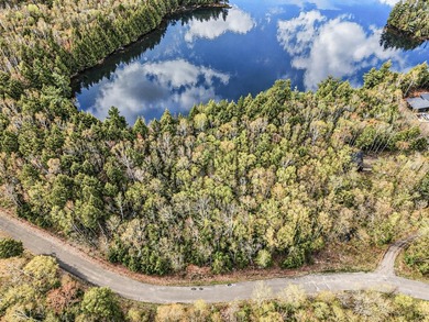 Hewitt Lake Acreage For Sale in Oma Wisconsin