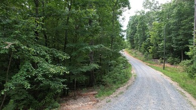 Coosawattee River - Gilmer County Lot For Sale in Ellijay Georgia