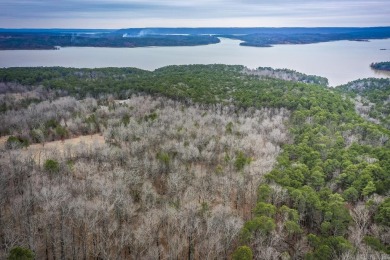 Lake Lot For Sale in Edgemont, Arkansas