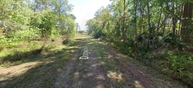 Lake Lot For Sale in Georgetown, Florida