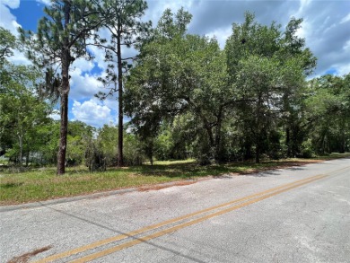 Crystal Lake - Marion County Lot For Sale in Ocklawaha Florida
