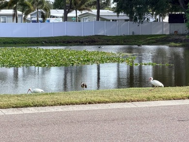 8917 Delta Ln., Tampa, FL 33635 Welcome to this beautifully - photo 33