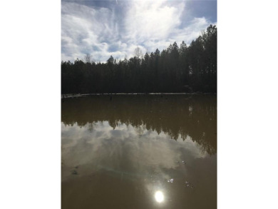 (private lake, pond, creek) Acreage For Sale in Plainville Georgia
