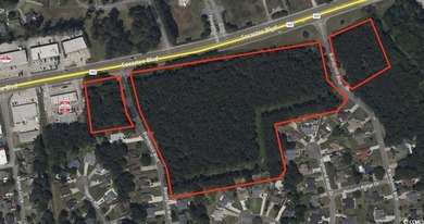 Prime 15-acre commercial development opportunity located along - photo 1