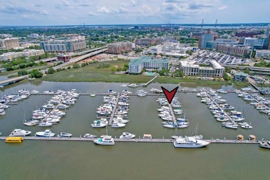 If you've been searching for the ideal boat slip that makes - photo 5